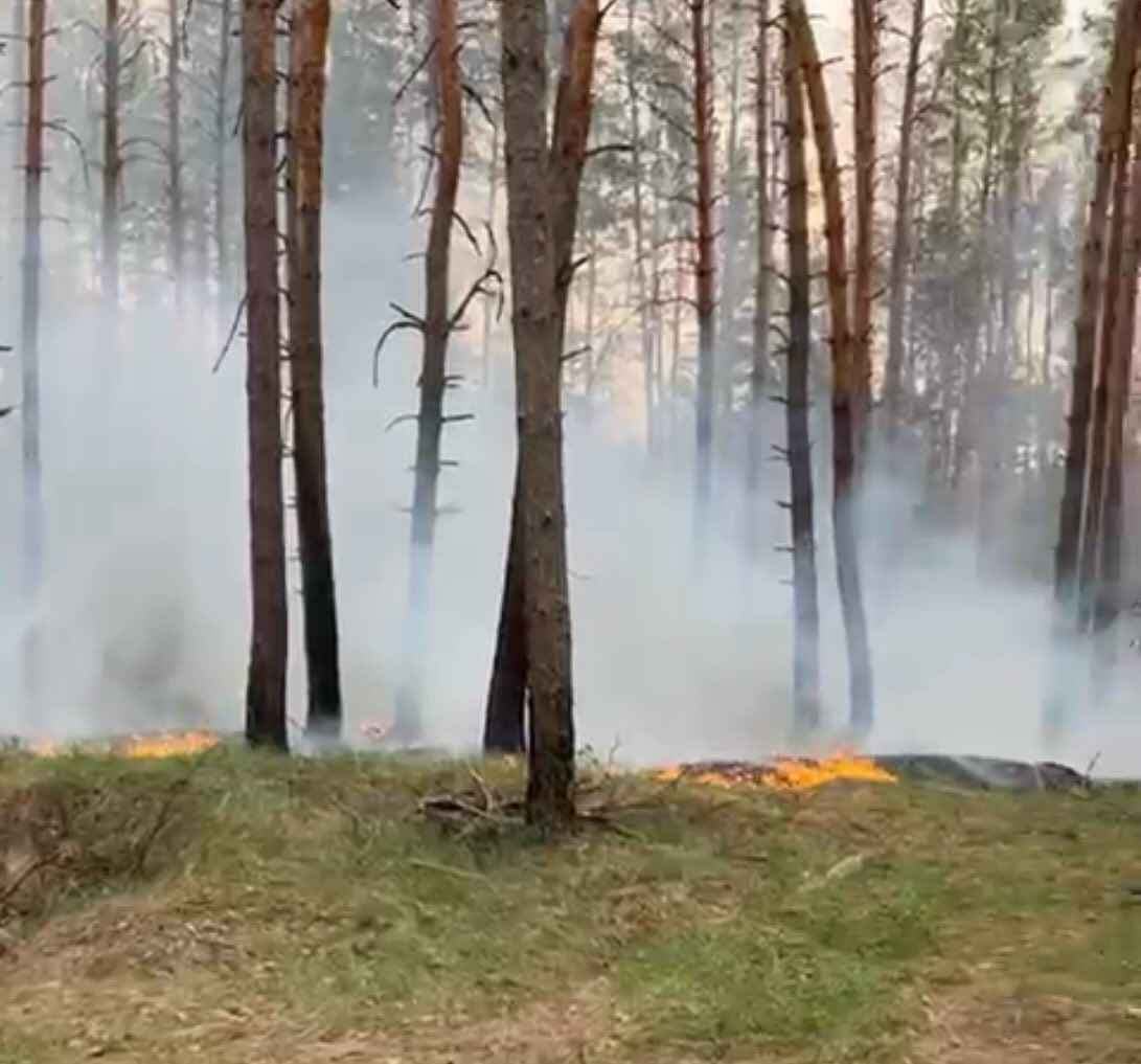 Тло
